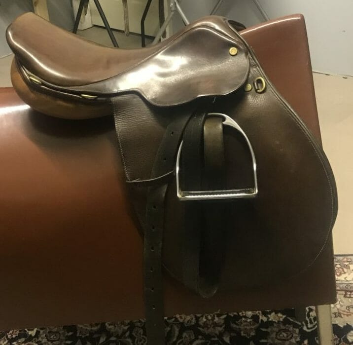 1217 Collegiate Jumping Saddle, 15" The Trainer's Loft
