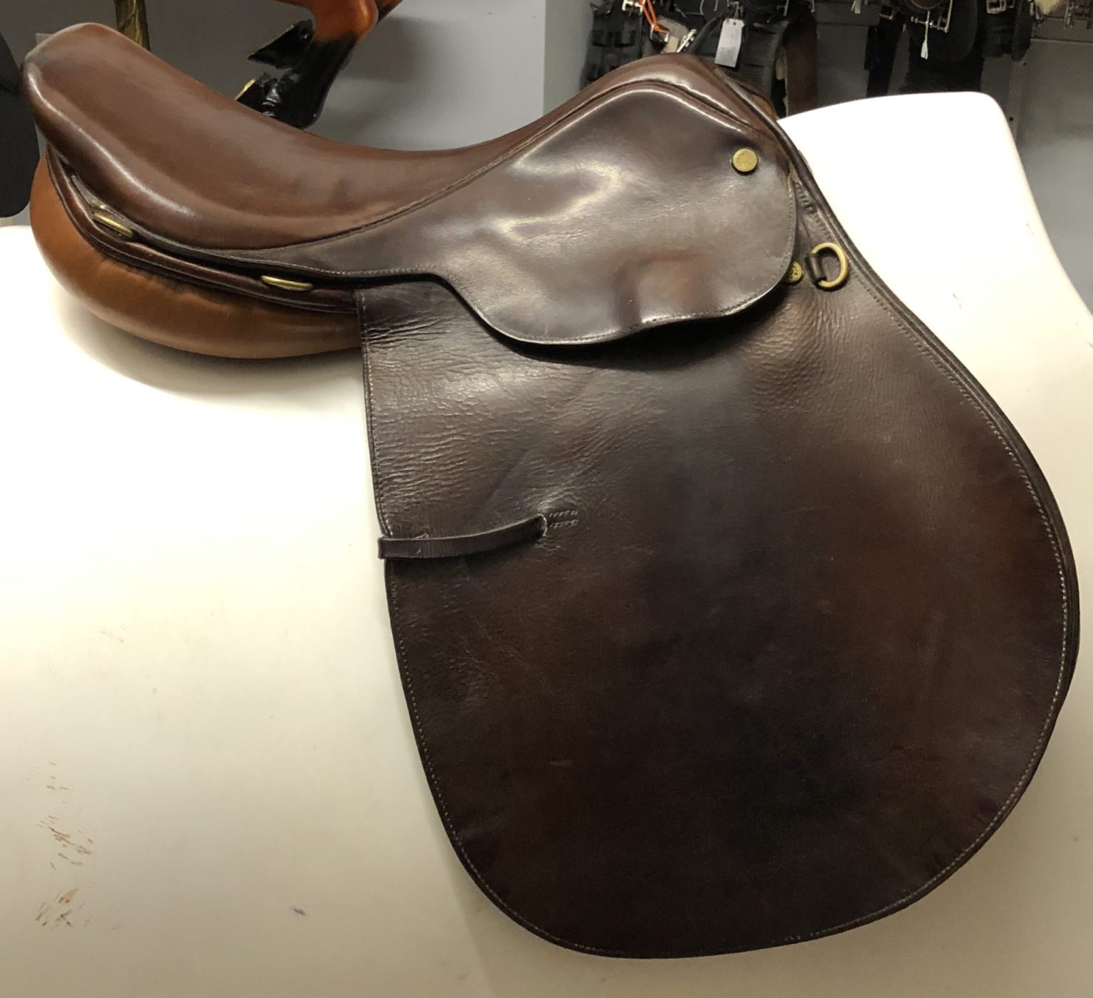 1217 Collegiate Jumping Saddle, 15.5", MN The Trainer's Loft
