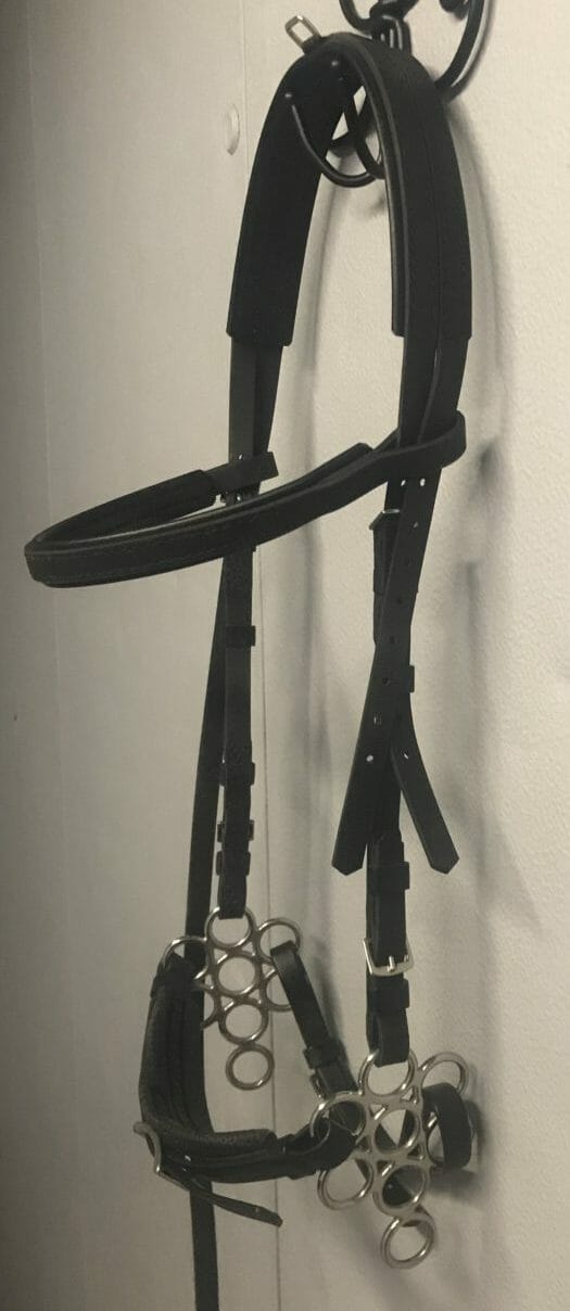 1259 Zilco Hackamore and Headstall Combo The Trainer's Loft