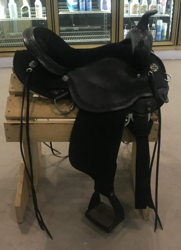 0158 Circle Y Daisetta High Horse Western Saddle, 16" The Trainer's Loft