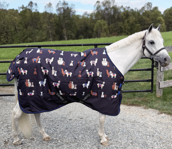 Screen Shot 2026-02-11 at 12.05.14 PM Screen Shot 2026-02-11 at 12.05.14 PM