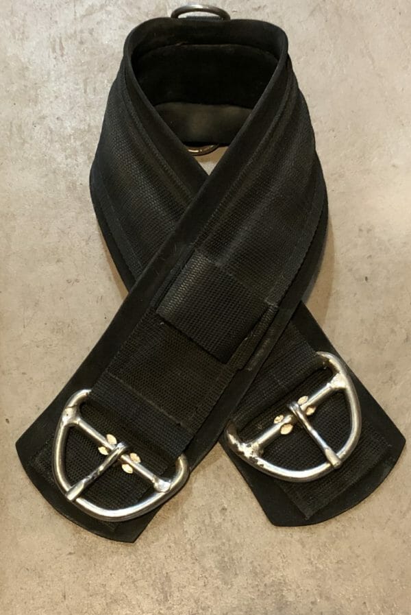 1331 Neoprene Cinch, 32" The Trainer's Loft