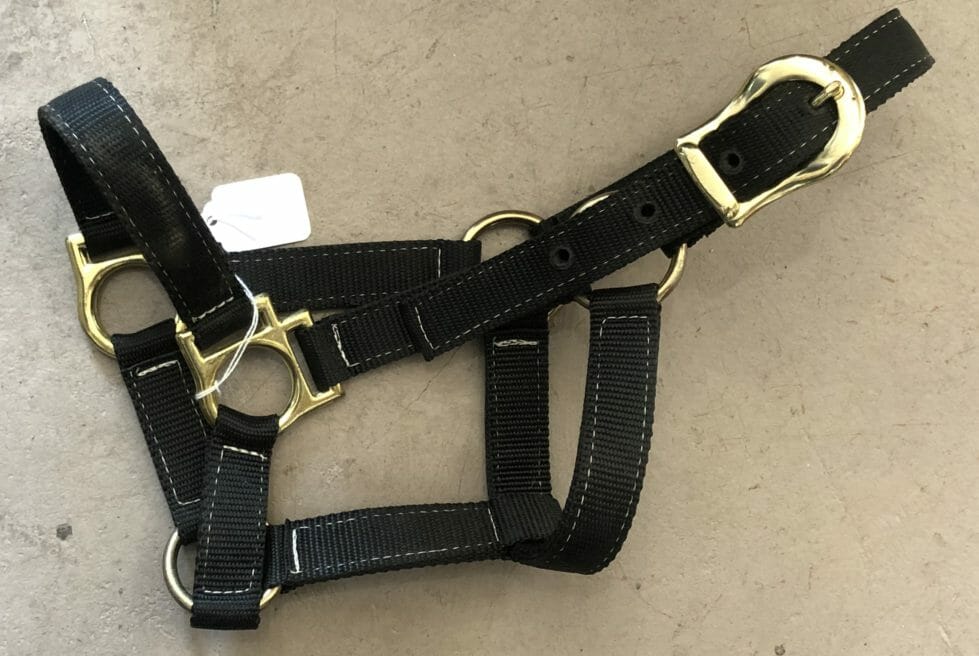 1304 Nylon Halter, Yearling The Trainer's Loft