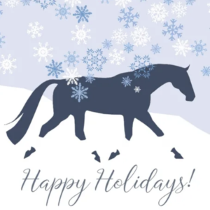 Box of Horse Hollow Press boxed Christmas cards with horse holiday designs
