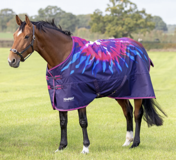 Screen Shot 2023-12-02 at 10.27.17 AM Screen Shot 2023-12-02 at 10.27.17 AM