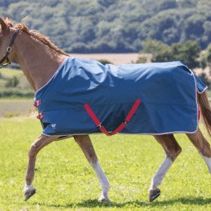 Shires Tempest Original Lite Turnout Rug