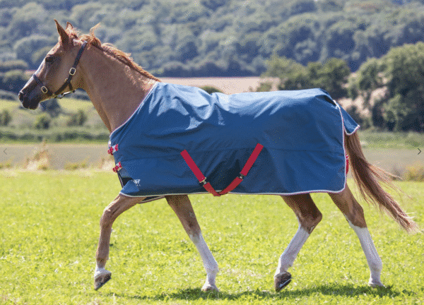 Shires Tempest Original Lite Turnout Rug