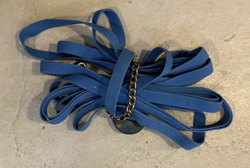 1072166 Nylon Lunge Line With Chain The Trainer's Loft