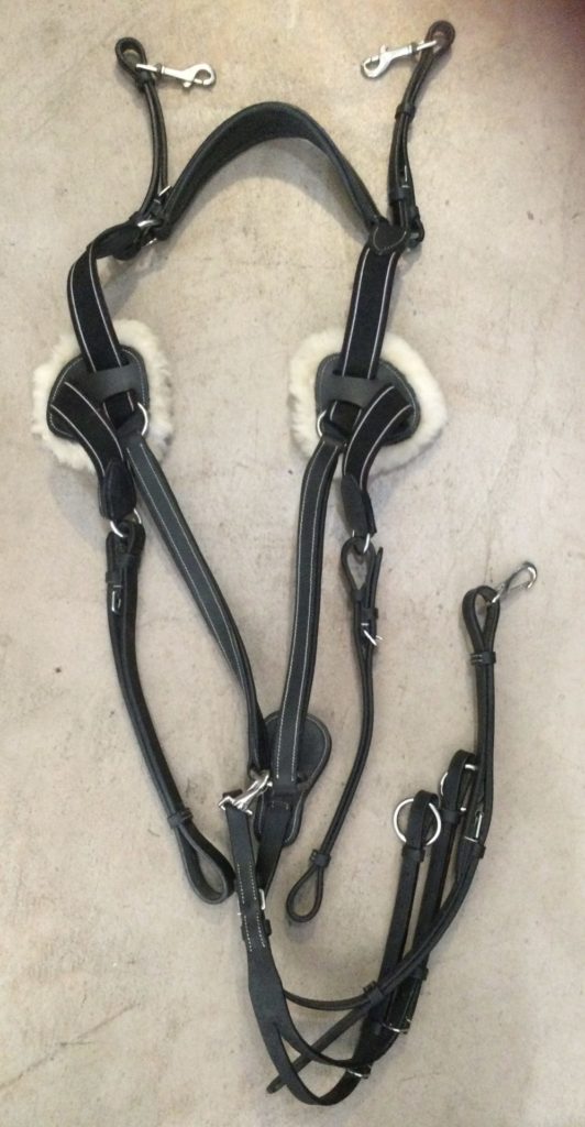 145216 HDR 5 Point Breastplate, Horse The Trainer's Loft