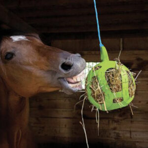 Jolly Hay Ball