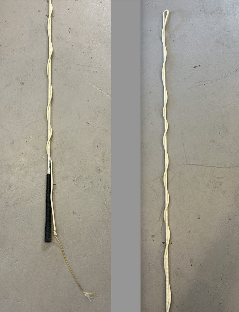 141840 Lungewhip The Trainer's Loft