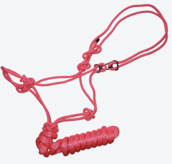 Screen Shot 2024-04-25 at 4.15.56 PM Screen Shot 2024-04-25 at 4.15.56 PM