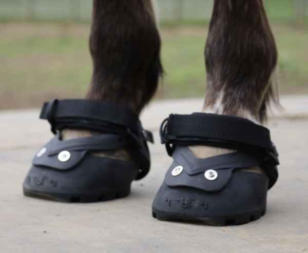 Screen Shot 2023-10-30 at 11.16.24 AM Screen Shot 2023-10-30 at 11.16.24 AM