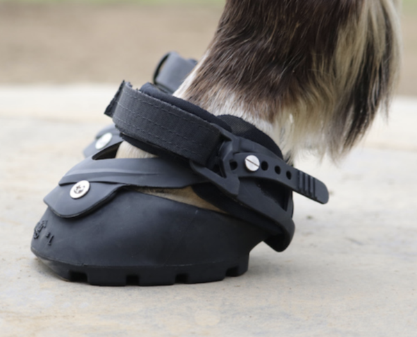 Screen Shot 2023-10-30 at 11.16.35 AM Screen Shot 2023-10-30 at 11.16.35 AM