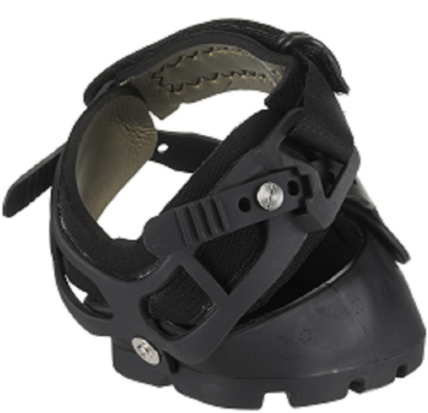 Screen Shot 2023-10-30 at 11.17.49 AM Screen Shot 2023-10-30 at 11.17.49 AM