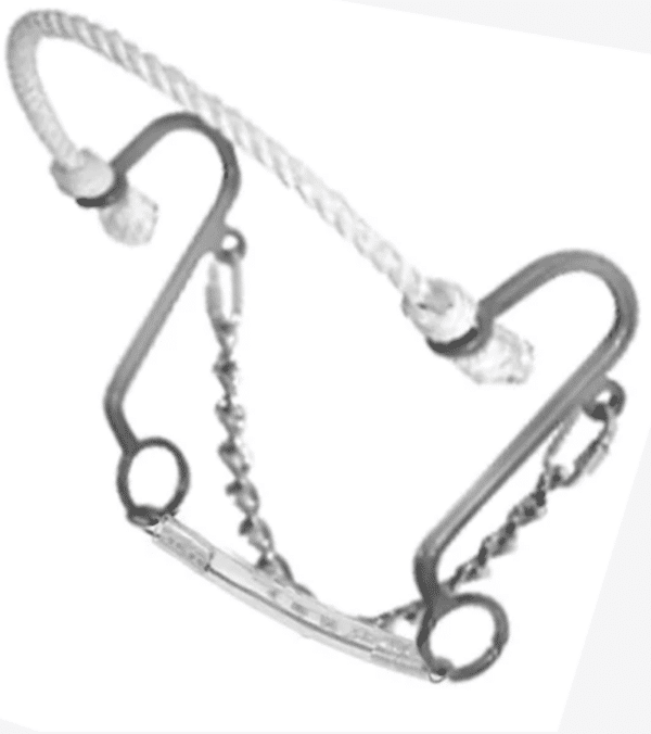 Hackamore