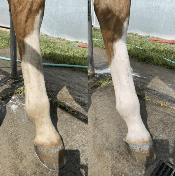 Screen Shot 2024-04-03 at 1.09.24 PM Screen Shot 2024-04-03 at 1.09.24 PM