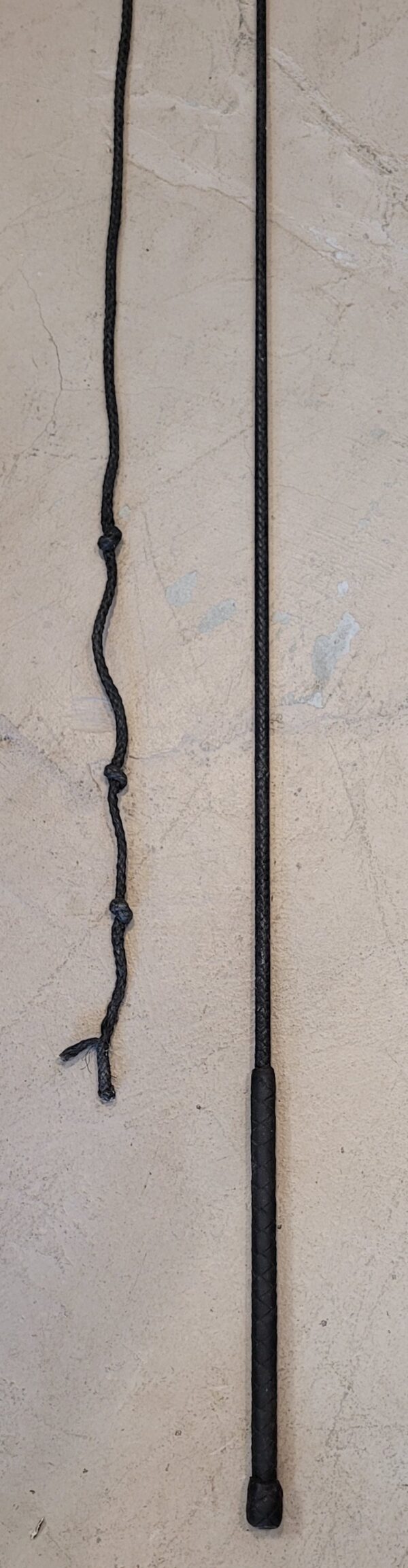 20240909_163856 20240909_163856