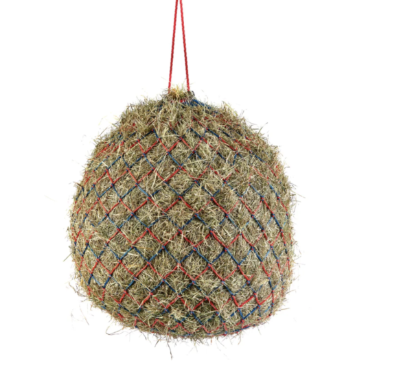 screen shot 2024-09-13 at 35407 pm screen shot 2024-09-13 at 35407 pm