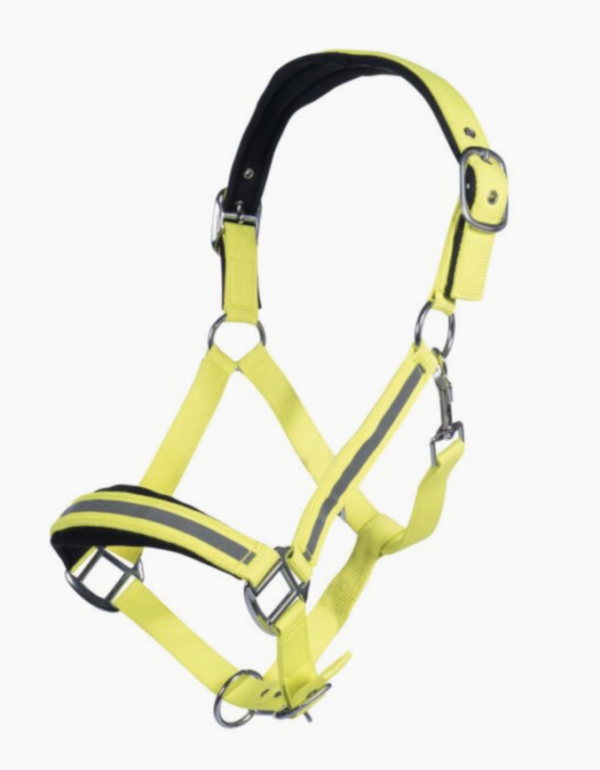 screen shot 2024-10-02 at 22929 pm screen shot 2024-10-02 at 22929 pm