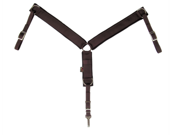 screen shot 2024-10-24 at 123513 pm screen shot 2024-10-24 at 123513 pm