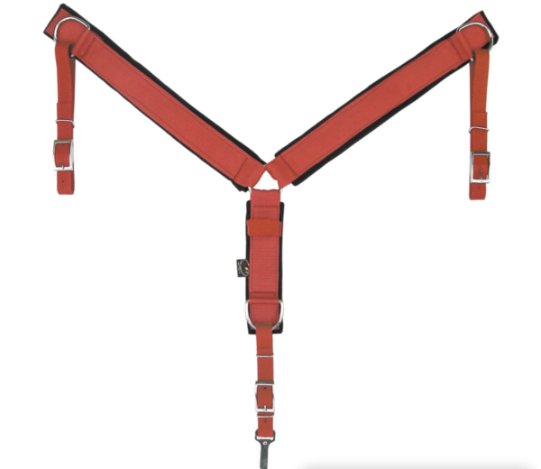 screen shot 2024-10-24 at 124035 pm screen shot 2024-10-24 at 124035 pm