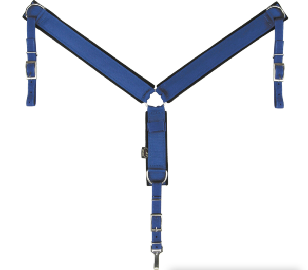 screen shot 2024-10-24 at 124057 pm screen shot 2024-10-24 at 124057 pm