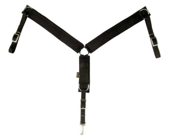 screen shot 2024-10-24 at 124116 pm screen shot 2024-10-24 at 124116 pm