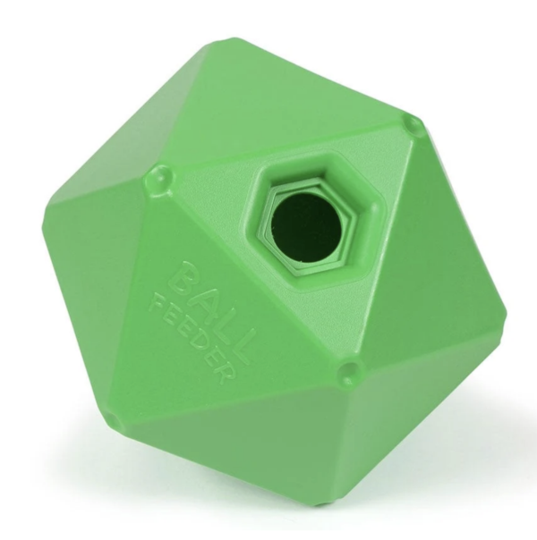 Screen Shot 2024-12-19 at 12.31.18 PM Screen Shot 2024-12-19 at 12.31.18 PM