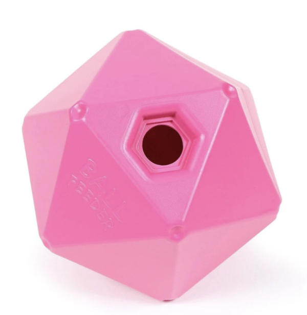 Screen Shot 2024-12-19 at 12.31.26 PM Screen Shot 2024-12-19 at 12.31.26 PM