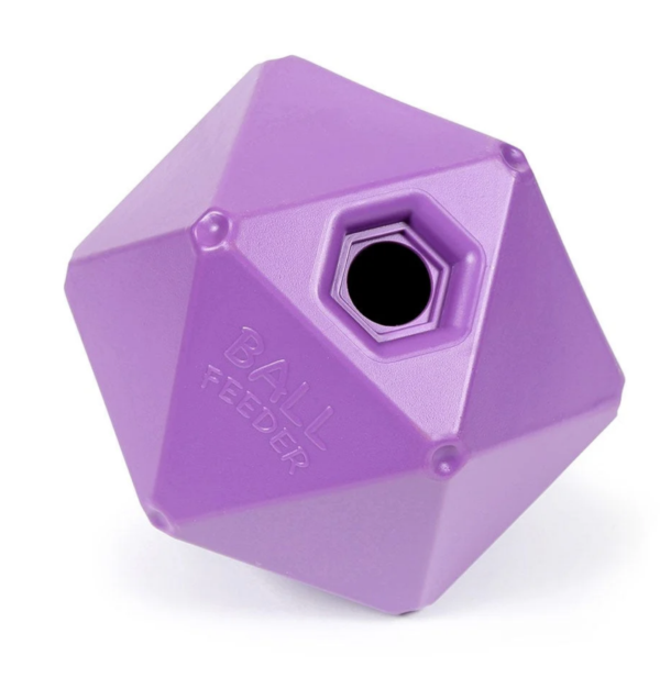 Screen Shot 2024-12-19 at 12.31.44 PM Screen Shot 2024-12-19 at 12.31.44 PM