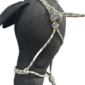 Subject 14