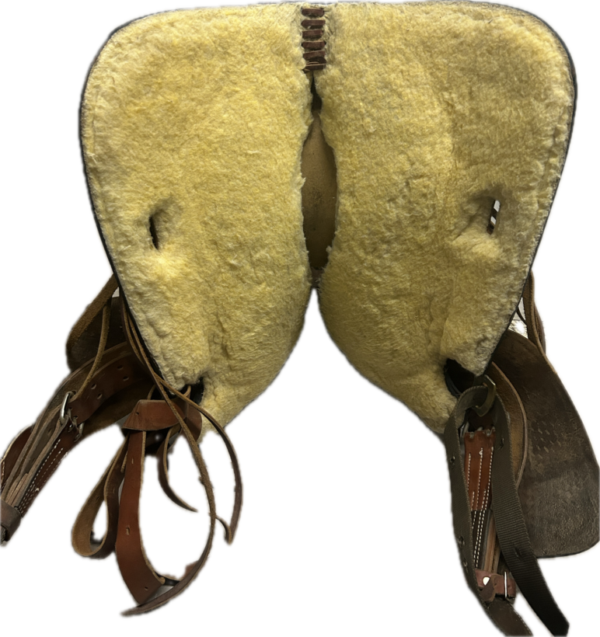 Subject 20 Subject 20