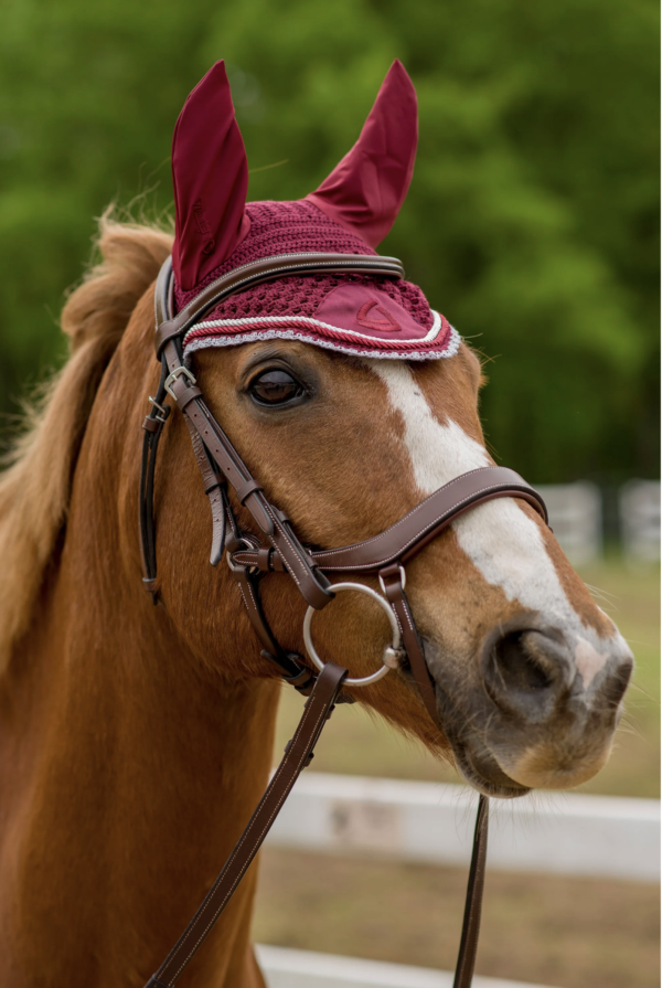 Screen Shot 2025-01-23 at 12.22.42 PM Screen Shot 2025-01-23 at 12.22.42 PM