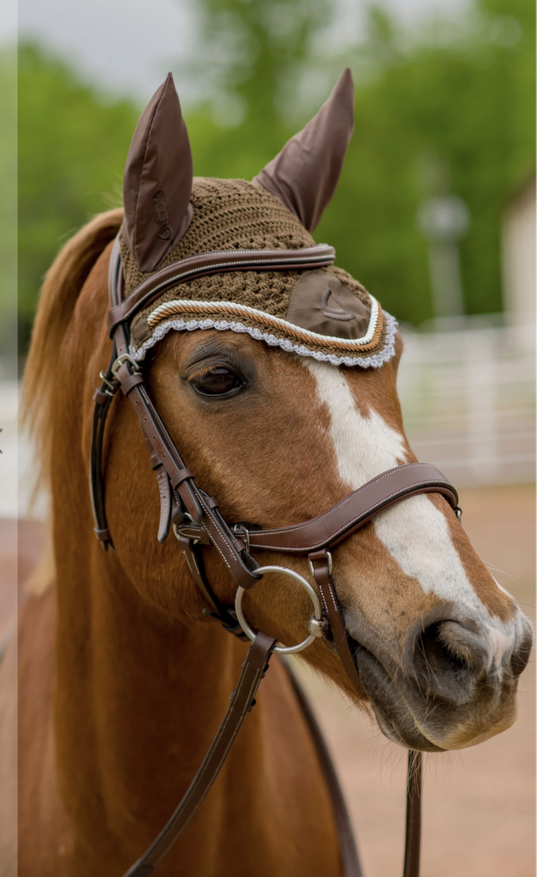 Screen Shot 2025-01-23 at 12.23.01 PM Screen Shot 2025-01-23 at 12.23.01 PM