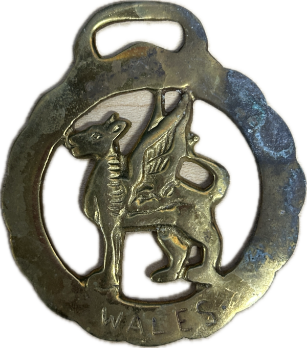 Subject 12 Subject 12