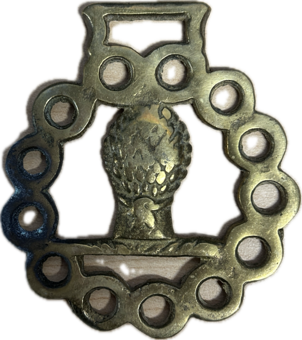 Subject 15 Subject 15