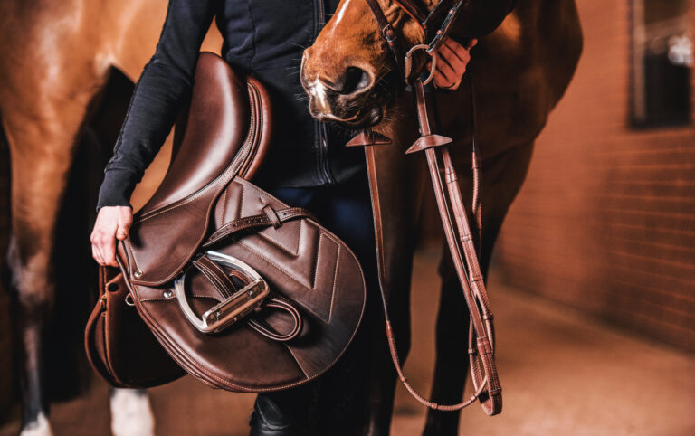 Trainers Loft Saddle Comparison, Horse Rider with Brown Leather Saddle