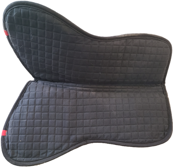 Clipped_image_20250329_163801 Clipped_image_20250329_163801