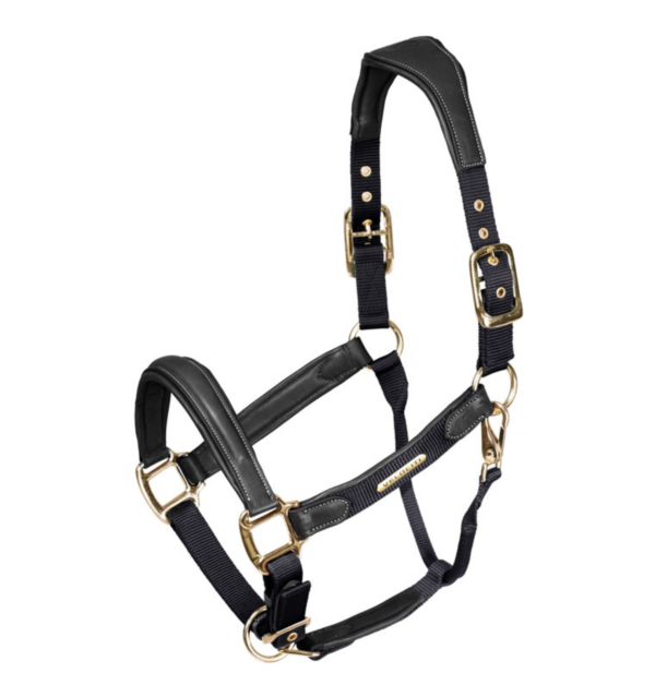 Screen Shot 2025-03-05 at 12.05.03 PM Screen Shot 2025-03-05 at 12.05.03 PM