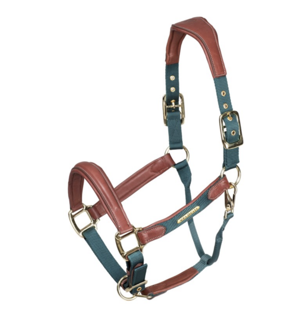 Screen Shot 2025-03-05 at 12.05.37 PM Screen Shot 2025-03-05 at 12.05.37 PM