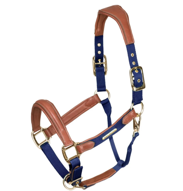 Screen Shot 2025-03-05 at 12.09.14 PM Screen Shot 2025-03-05 at 12.09.14 PM