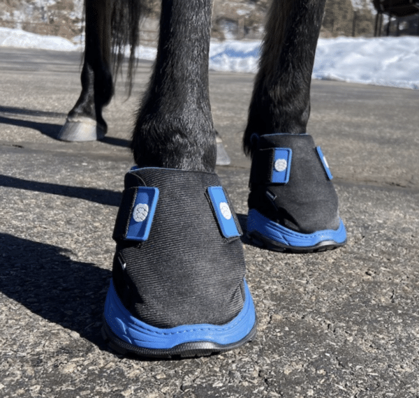 Screen Shot 2025-04-20 at 4.50.15 PM Screen Shot 2025-04-20 at 4.50.15 PM