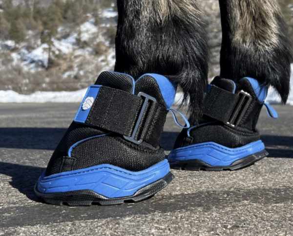 Screen Shot 2025-04-20 at 4.50.31 PM Screen Shot 2025-04-20 at 4.50.31 PM