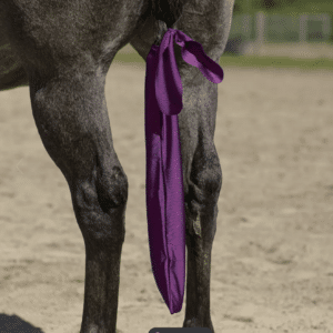 Schneider's UltraFlex Lycra Tail Bag, Pack of 3