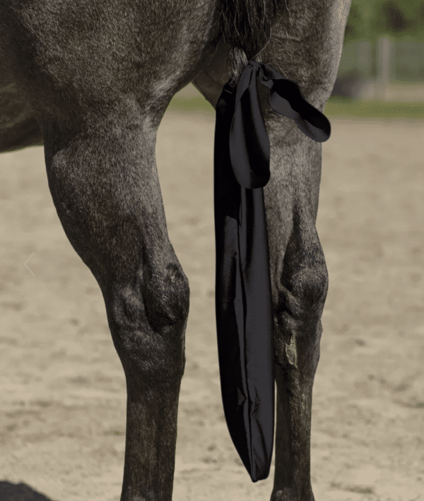 Screen Shot 2025-04-28 at 3.20.47 PM Screen Shot 2025-04-28 at 3.20.47 PM