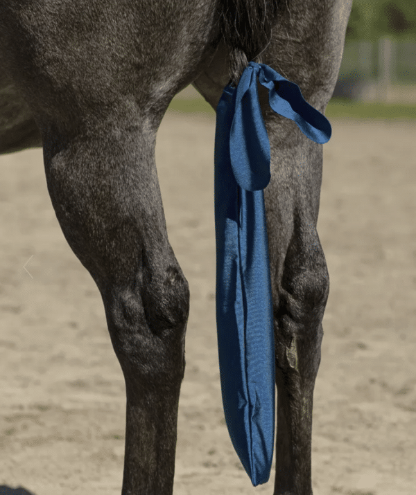 Screen Shot 2025-04-28 at 3.21.13 PM Screen Shot 2025-04-28 at 3.21.13 PM