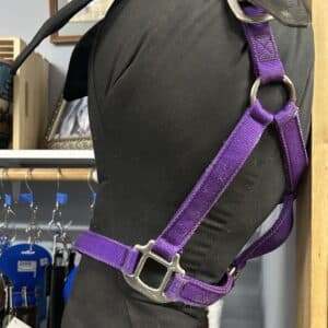Breakaway 1″ Adjustable Nylon Halter, Cob