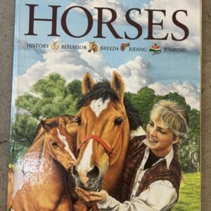 Kingfisher Horses By Jackie Budd