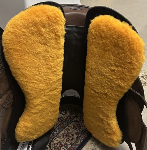 IMG_3707 2 IMG_3707 2